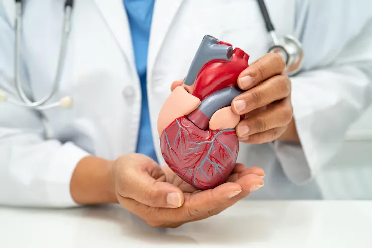Choosing the Right Heart Treatment in India: Exploring Advanced Procedures and Renowned Cardiac Centers